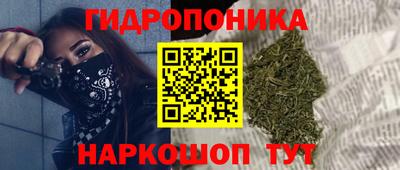 СК Краснокаменск