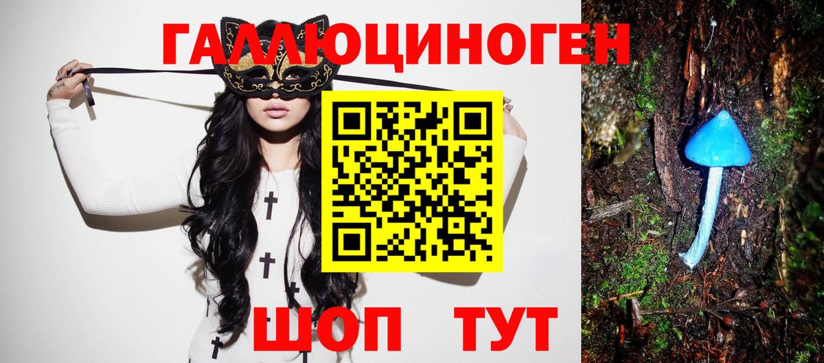 Кашира  Псилоцибиновые грибы прущие грибы  Галлюциногенные грибы мухоморы  Вход с VPN 