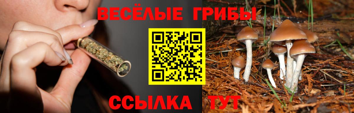 Галлюциногенные грибы ЛСД Кашира